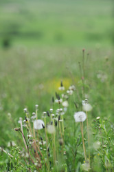 Similar image 1225539