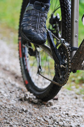 Similar image 1225546