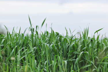 Similar image 1225550