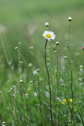 Similar image 1225551