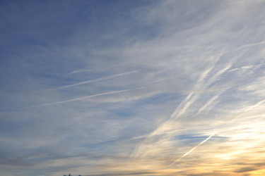 Similar image 1226031