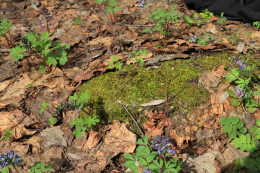 Similar image 1226535