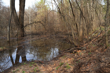 Similar image 1226537