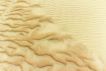 Similar image 1226554