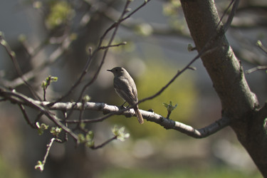 Similar image 1226697