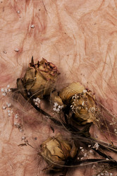 Similar image 1226706