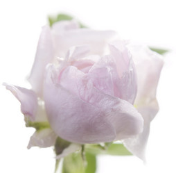 Similar image 1226710