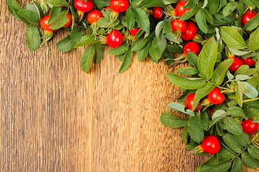 Similar image 1226821