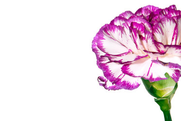 Similar image 1226979