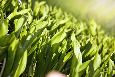 Similar image 1226980