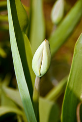 Similar image 1226981