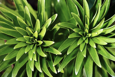 Similar image 1226983