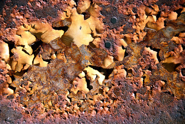 Similar image 1226985