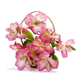 Similar image 1227017