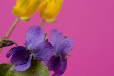 Similar image 1227018