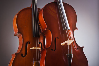 Similar image 1227099