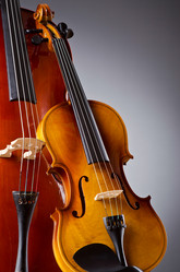 Similar image 1227135