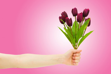 Similar image 1227148