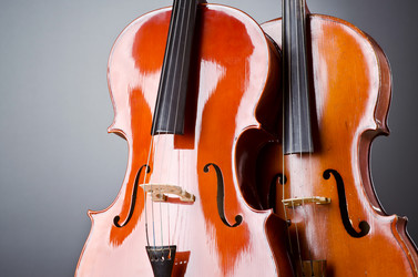 Similar image 1227155