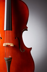 Similar image 1227161