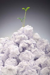 Similar image 1227184