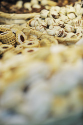 Similar image 1227346