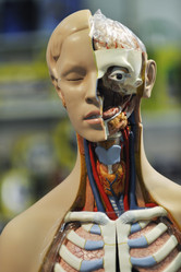 Similar image 1227348