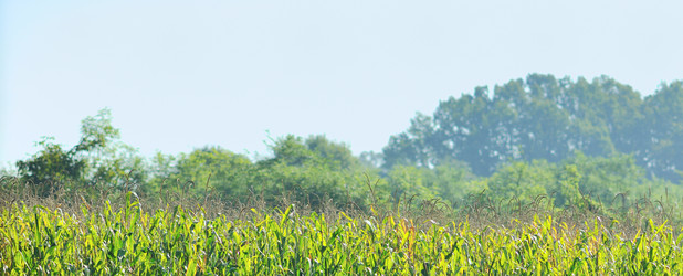 Similar image 1227409