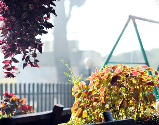 Similar image 1227413