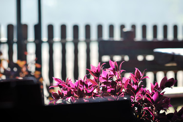 Similar image 1227415