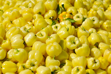 Similar image 1227529