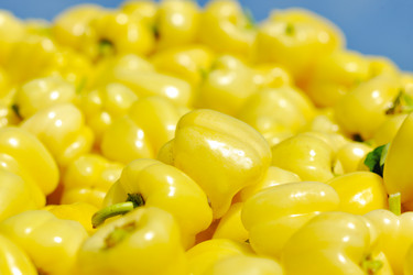 Similar image 1227533