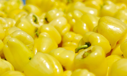 Similar image 1227534