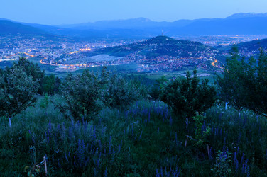 Similar image 1227548