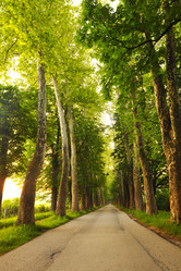 Similar image 1227818