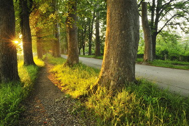 Similar image 1227823