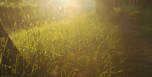 Similar image 1227826