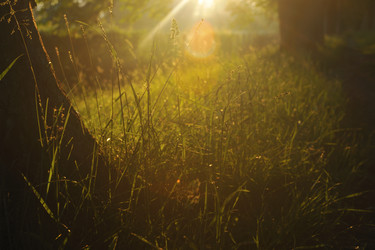 Similar image 1227827