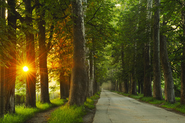 Similar image 1227835