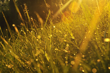 Similar image 1227838