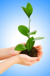 Similar image 1227839