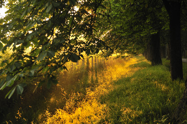 Similar image 1227881