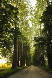 Similar image 1227889