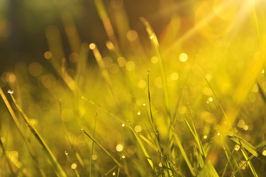 Similar image 1227890