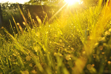 Similar image 1227891