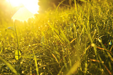 Similar image 1227893