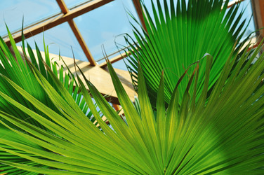 Similar image 1228039