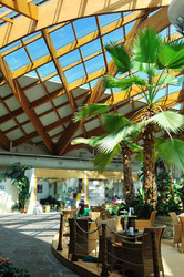 Similar image 1228049