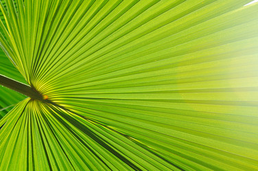 Similar image 1228115