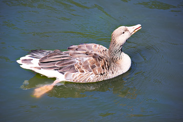 Similar image 1228231